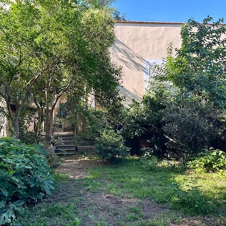 Avec Jardin Prive A 2min De La 公寓 滨海巴纽尔斯