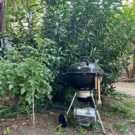 Appartement Avec Jardin Prive A 2min De La Banyuls-sur-Mer